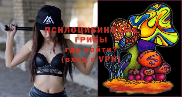 спайс Аркадак