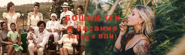индика Балахна