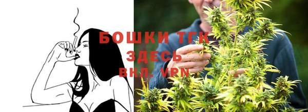 спайс Аркадак