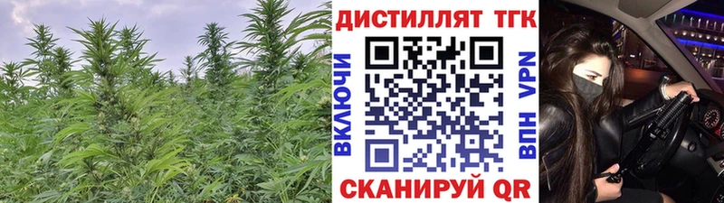 ТГК вейп с тгк  где можно купить наркотик  Отрадный 