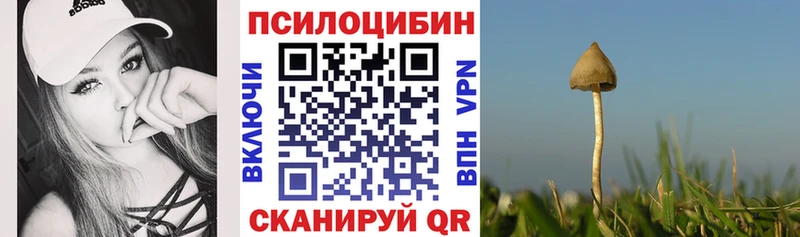 omg tor  даркнет сайт  Отрадный  Псилоцибиновые грибы GOLDEN TEACHER 